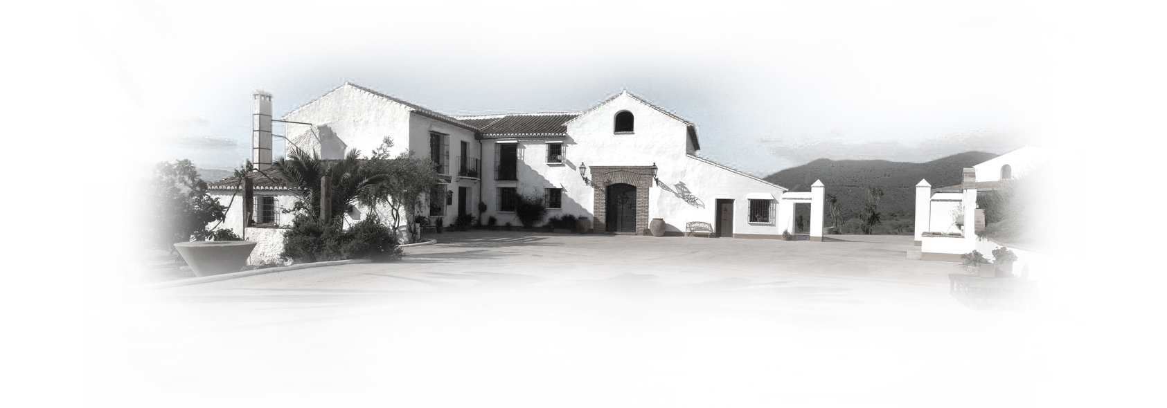 Olivar de Bolaños